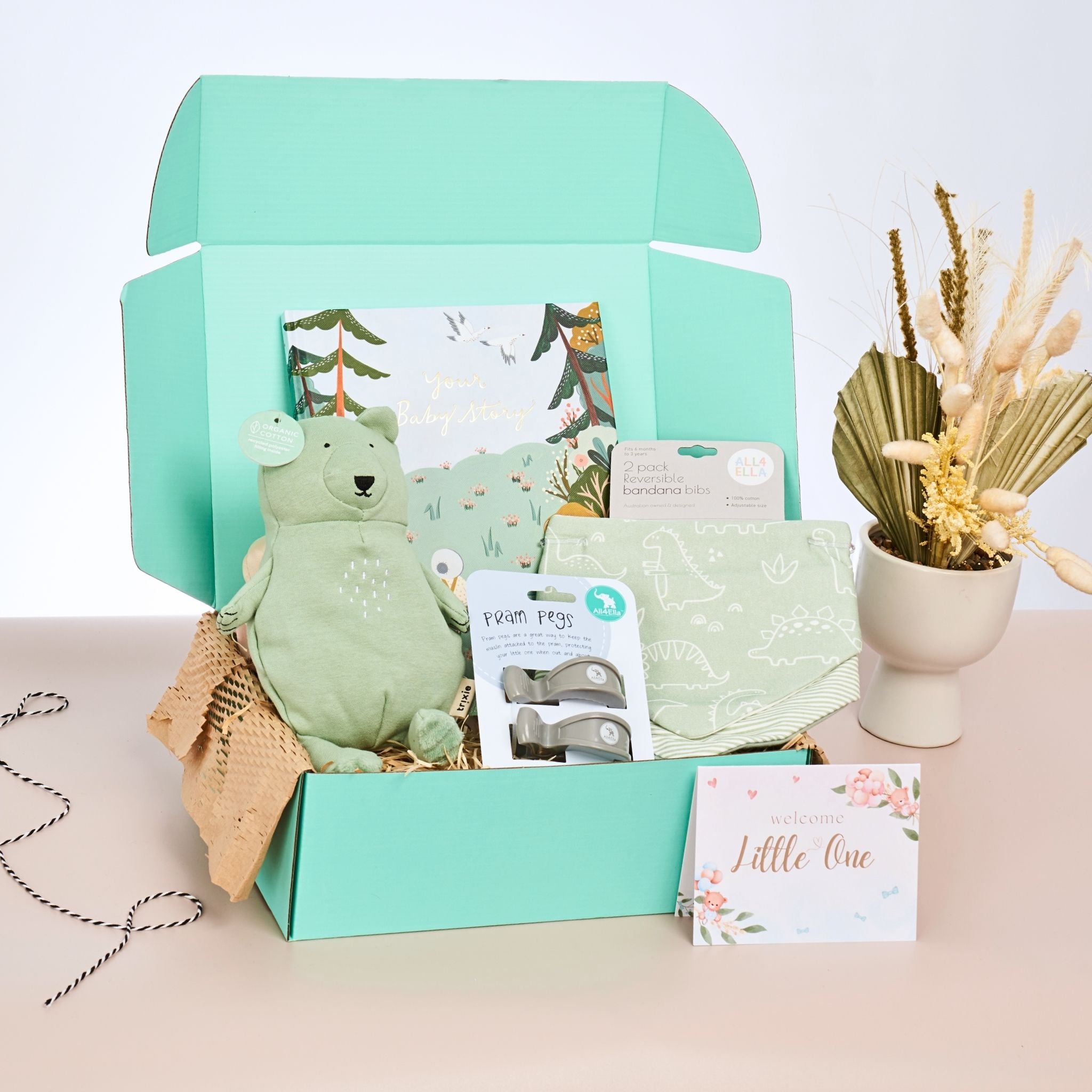 Baby boy hamper