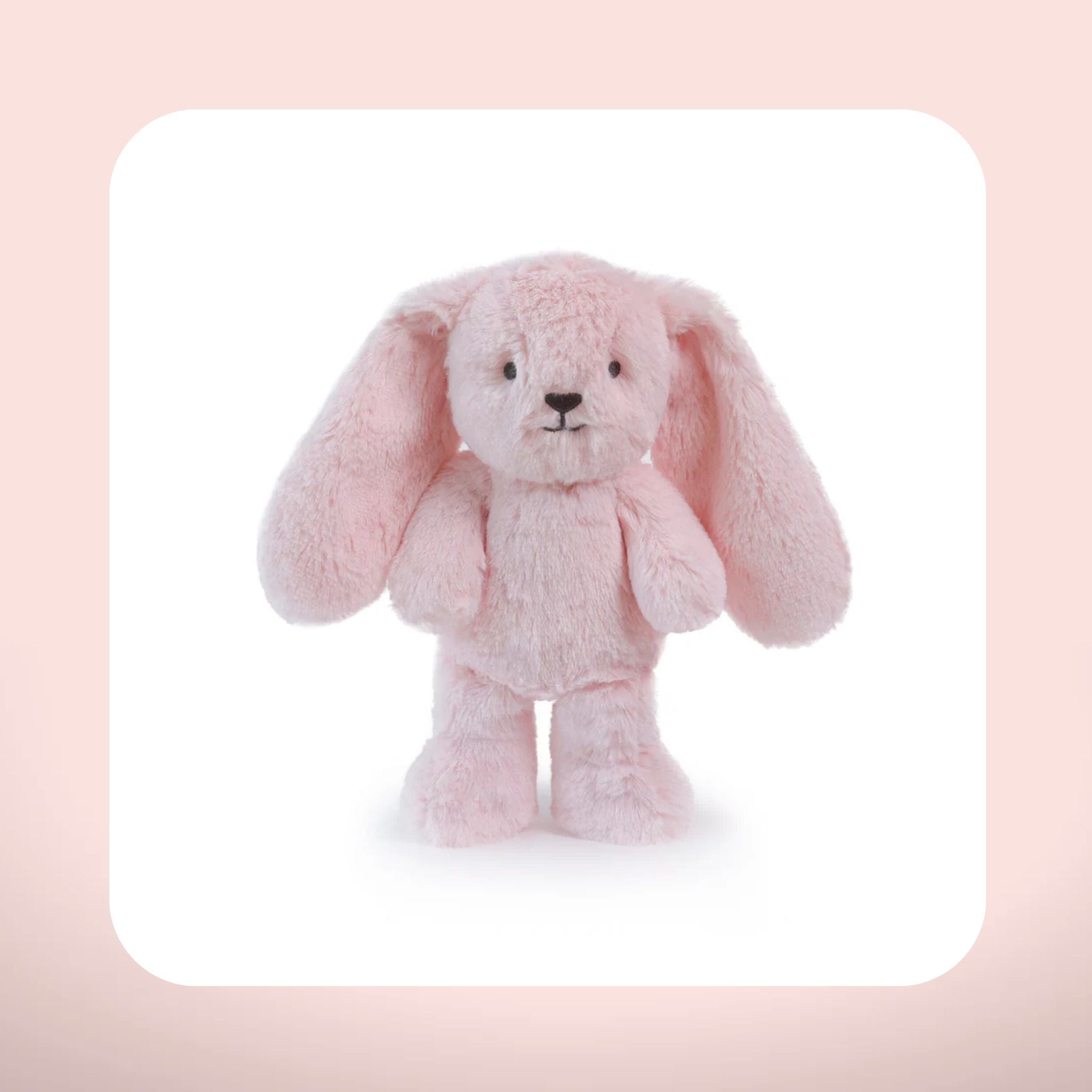Plush Ziggy baby bunny cuddle toy